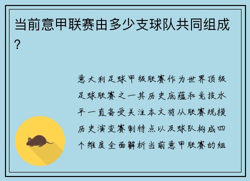 当前意甲联赛由多少支球队共同组成？