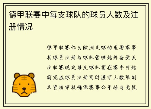 德甲联赛中每支球队的球员人数及注册情况